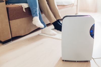 Basement Dehumidifier Service in Sarasota, FL