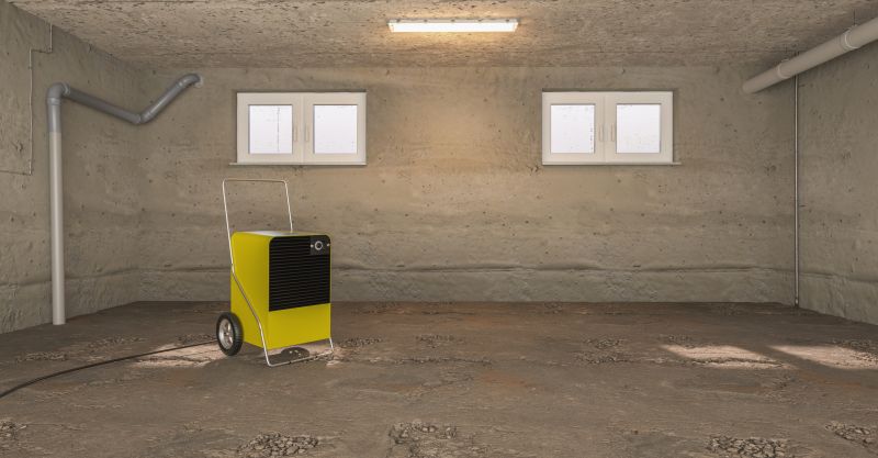 Basement Dehumidifier Service in Annapolis, MD